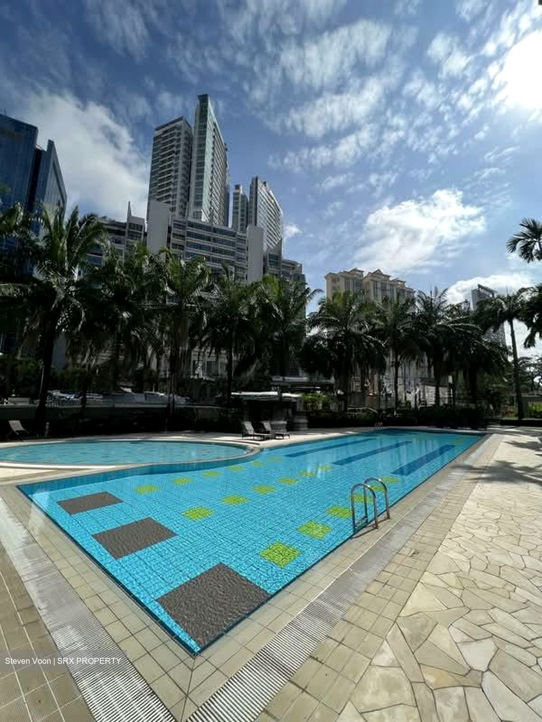 Thomson Euro-asia (D11), Condominium #539533721